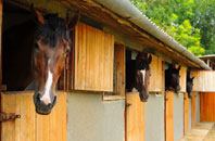 free Mountfield stable construction quotes